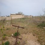 Satılır 2 otaqlı Bağ evi, Xəzər rayonu 6