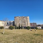 Kirayə (aylıq) 3 otaqlı Yeni Tikili, Nizami metrosu, Yasamal rayonu 14