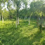 Kirayə (günlük) 2 otaqlı Həyət evi/villa İsmayıllı 3