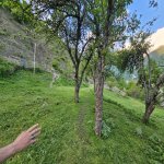 Satılır Torpaq Qəbələ 7