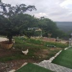 Kirayə (günlük) 3 otaqlı Bağ evi Quba 7