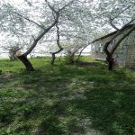 Satılır 4 otaqlı Bağ evi Mingəçevir 20