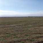 Satılır Torpaq, Saray, Abşeron rayonu 7