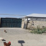 Satılır 5 otaqlı Həyət evi/villa Mingəçevir 1