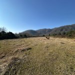 Продажа Участок Астара 4