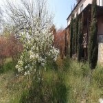 Satılır 12 otaqlı Həyət evi/villa, Novxanı, Abşeron rayonu 18