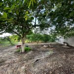 Продажа 5 комнатная Дача, Новханы, Абшерон район 11