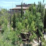 Satılır 6 otaqlı Həyət evi/villa, Bilgəh qəs., Sabunçu rayonu 8