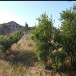 Satılır Torpaq, Buzovna, Xəzər rayonu 2