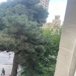 Kirayə (aylıq) 2 otaqlı Köhnə Tikili, Nəriman Nərimanov metrosu, Heydər Əliyev Mərkəzi, Nərimanov rayonu 12