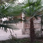 Satılır 3 otaqlı Həyət evi/villa Gəncə 4