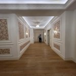 Kirayə (aylıq) 2 otaqlı Yeni Tikili, Nərimanov rayonu 13