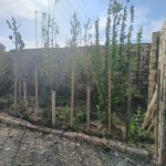 Продажа 4 комнатная Дома/Виллы, Абшерон район 11