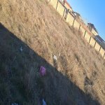 Продажа Участок, пос. Курдаханы, Сабунчу район 5