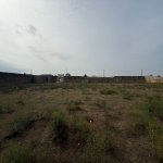 Satılır Torpaq, Qala, Xəzər rayonu 2