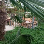 Kirayə (günlük) 3 otaqlı Həyət evi/villa İsmayıllı 12