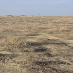 Satılır Torpaq, Masazır, Abşeron rayonu 11