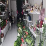Satılır Obyekt, Nəriman Nərimanov metrosu, Nərimanov rayonu 3