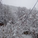 Посуточно 4 комнат Дача Шеки 10