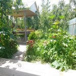 Kirayə (günlük) 2 otaqlı Həyət evi/villa İsmayıllı 5