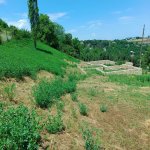 Satılır Torpaq Quba 1