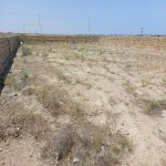 Satılır Torpaq, Saray, Abşeron rayonu 3