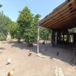 Satılır Torpaq Oğuz 5
