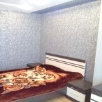 Kirayə (günlük) 3 otaqlı Yeni Tikili, Nəriman Nərimanov metrosu, Ağ şəhər, AGA Business Center, Xətai rayonu 6