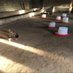 Satılır 6 otaqlı Həyət evi/villa, Novxanı, Abşeron rayonu 46