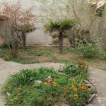 Satılır 9 otaqlı Həyət evi/villa, Yeni Günəşli qəs., Suraxanı rayonu 6