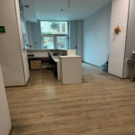 Kirayə (aylıq) 15 otaqlı Ofis, Nəsimi rayonu 11