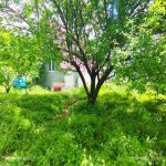 Kirayə (günlük) 3 otaqlı Həyət evi/villa İsmayıllı 7