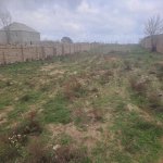Satılır Torpaq, Zirə, Xəzər rayonu 1
