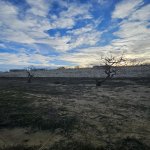 Продажа Участок, Масазыр, Абшерон район 1