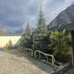 Kirayə (günlük) 5 otaqlı Həyət evi/villa Qax 12