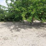 Satılır Torpaq Sumqayıt 1