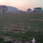 Satılır Torpaq, Avtovağzal metrosu, Qobu, Abşeron rayonu 3