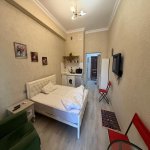 Satılır 1 otaqlı Yeni Tikili, 28 May metrosu, Nəsimi rayonu 5