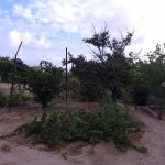 Satılır 7 otaqlı Bağ evi, Goradil, Abşeron rayonu 8