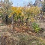 Продажа Участок, пос. Бадамдар, Сябаиль район 2