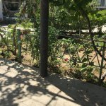 Kirayə (aylıq) 5 otaqlı Bağ evi, Novxanı, Abşeron rayonu 7