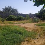 Продажа Участок, пос. Маштага, Сабунчу район 3