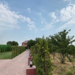 Satılır 6 otaqlı Həyət evi/villa, Novxanı, Abşeron rayonu 24