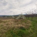 Satılır Torpaq Quba 6