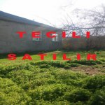 Satılır 7 otaqlı Həyət evi/villa, Məhəmmədli, Abşeron rayonu 10