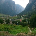 Kirayə (günlük) 4 otaqlı Bağ evi Quba 13
