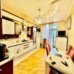 Продажа 5 комнатная Новостройка, м. Эльмляр Академиясы метро, Ясамал район 22