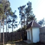 Satılır Torpaq, Maştağa qəs., Sabunçu rayonu 14