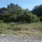 Satılır Torpaq İsmayıllı 4