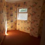 Satılır 1 otaqlı Həyət evi/villa, Azadlıq metrosu, Binəqədi qəs., Binəqədi rayonu 3